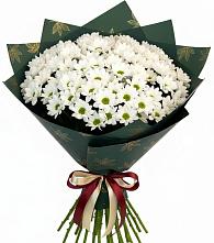 Букет цветов из:  Хризантемы #REPLACE_PRED# Черноерковской