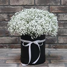 Цветочная композиция из Гипсофила в шляпной коробке в Черноерковской