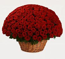 Премиум букет из: Розы в Черноерковской